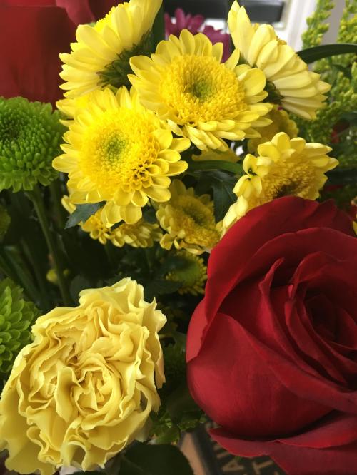 D22E38FD-4E6B-46FD-8AD1-BB1063DA609D