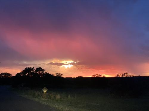 714AA796-4E6E-43BB-818C-E26C07518FC7