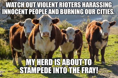 202008300846-O8fXIgSWc3