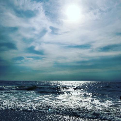 240FF49A-103E-4B13-965A-C47B23207382