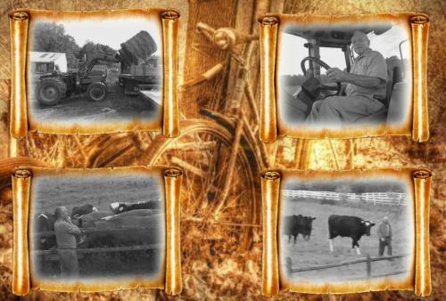 26142652_520565984976771_623665601_o