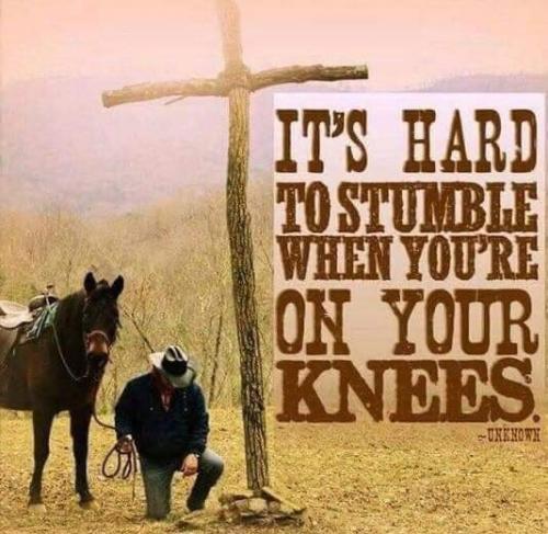 FB_IMG_1596736157183