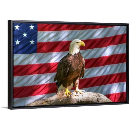 "Bald-Eagle-and-American-flag"-Black-Float-Frame-Canvas-Art