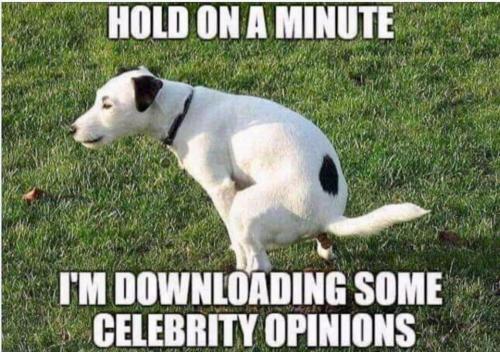 Downloading Celebrities