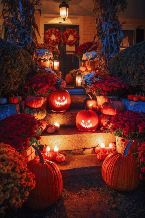 118357851_1506823802836985_6075107353316381270_n