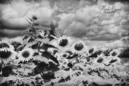 FB_IMG_1600046805099