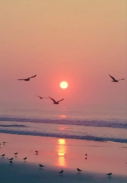 FB_IMG_1597287162695