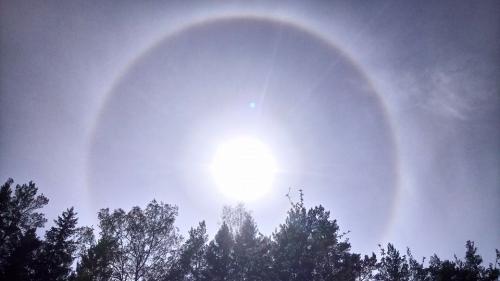 60261678_10157399625019928_4874872229822726144_o