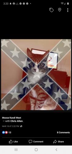 Screenshot_20200907-032006_Facebook