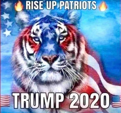 FB_IMG_1598711632734