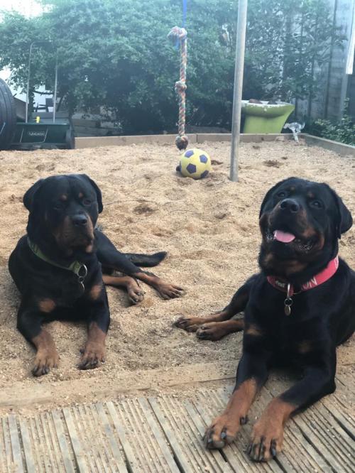 8dc64376-bbf0-4330-a8c2-23a602f12f64