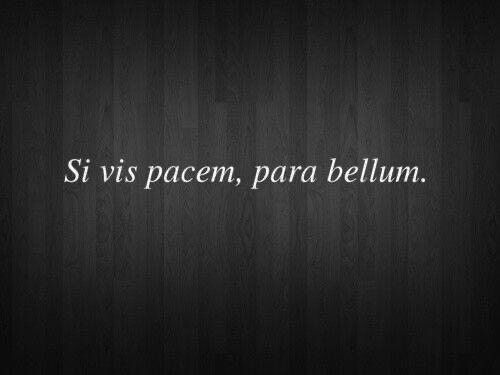 image_02663351-A582-44C8-8D21-71994CAA2C43