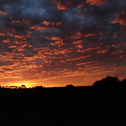 a9e509e2-d7ca-4206-9f22-5dcc64dd371f