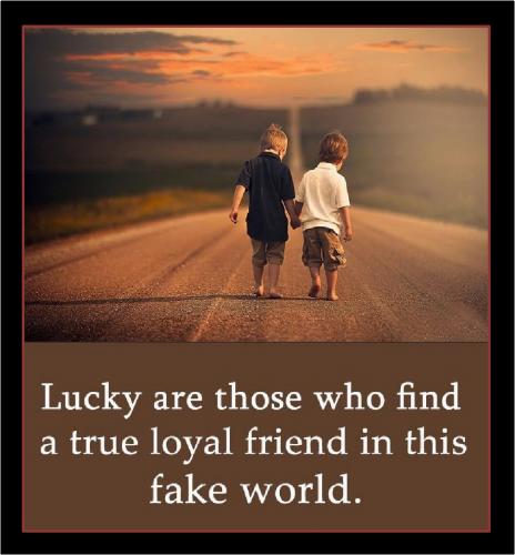 Friends in a Fake World