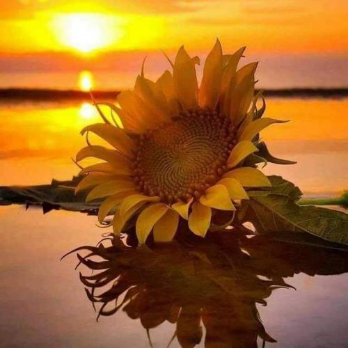 FB_IMG_1599920296228