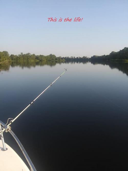 This is the life!