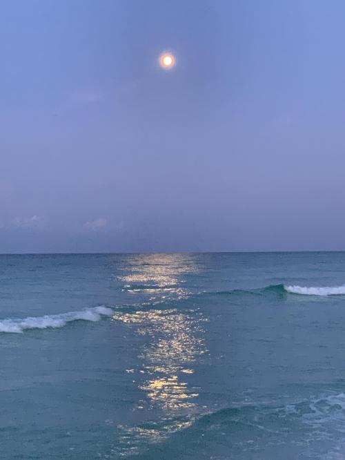 3A97458C-86FE-4D14-AAED-3CE68B5831B0