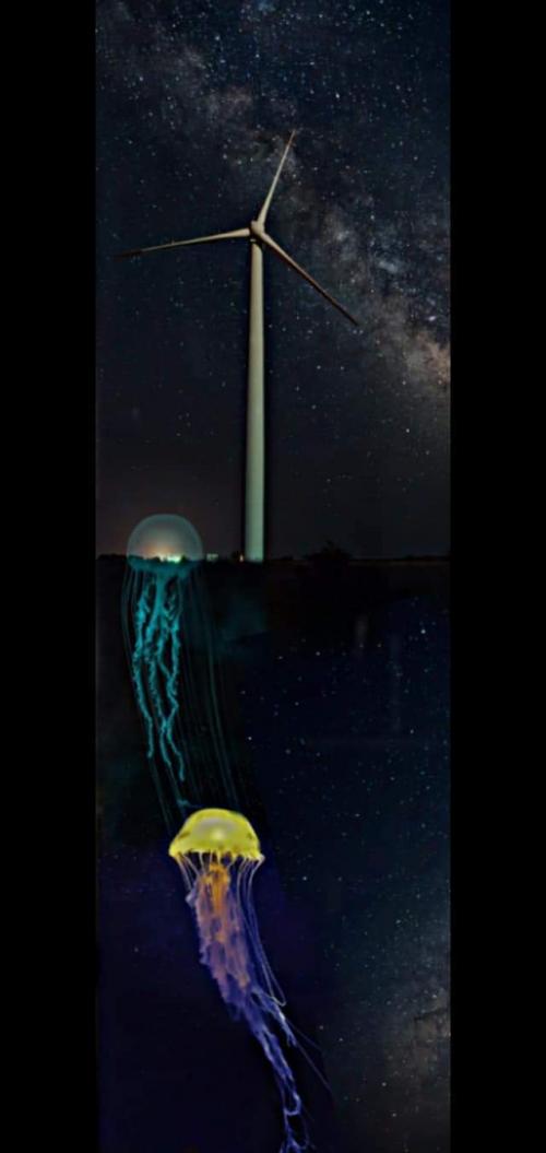 FB_IMG_1596423321406