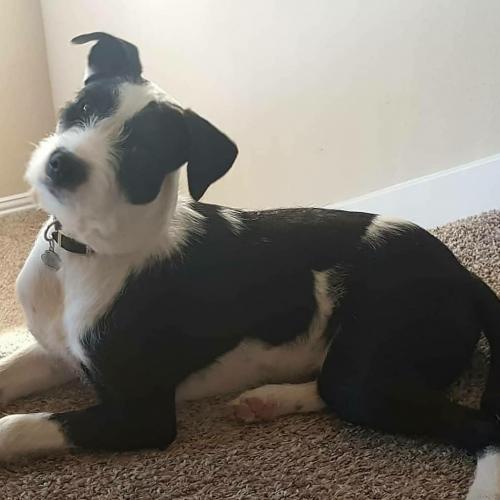 IMG_20200625_122904_593