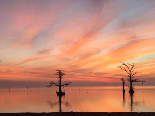 ABAC9313-4614-44D3-8122-3A5E3010430F