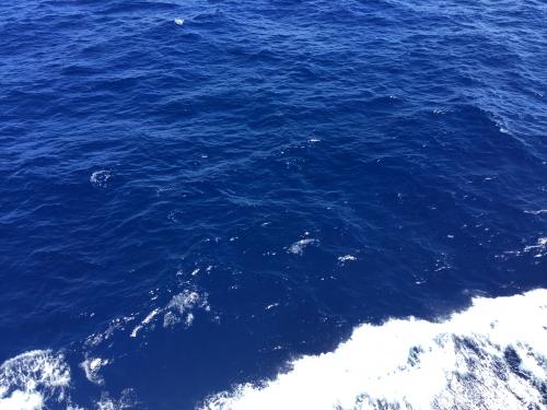 BD700E7E-0DEB-4D25-BB0E-03449EEF87B9