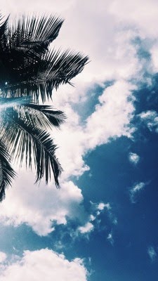 tumblr_oyb4lzsUMa1vyoqqdo4_250