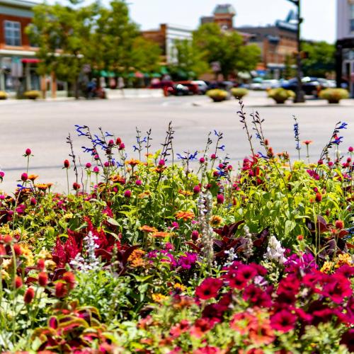 111557733_10163776062460431_4330960116156361801_o