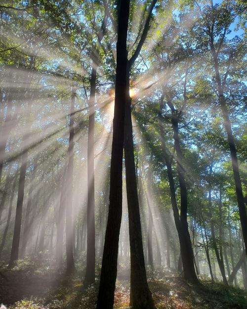 CE70726F-4DE8-4492-B9B7-02165459D8BA