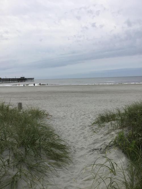 28C38EDD-B706-4B6B-8AA4-08C1A086F18D