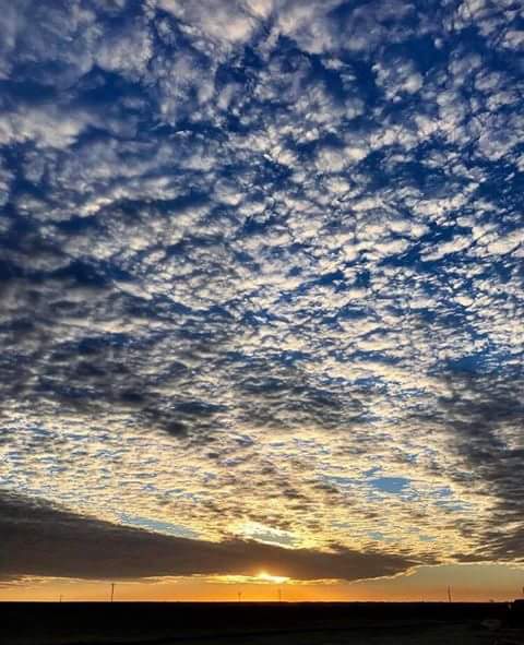 FB_IMG_1486859848880