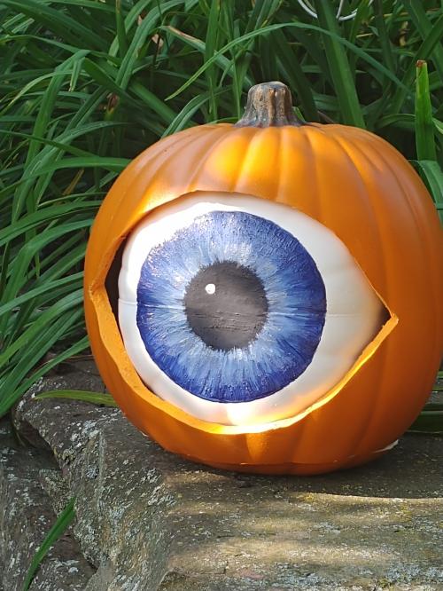 20200922_155529_mh1600804587453