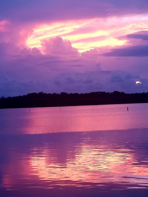 D03A8207-3BCE-4EEC-96C9-69231E3947E2