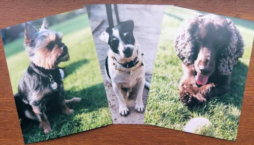 68413252_3236611373023629_1355772590953594880_n