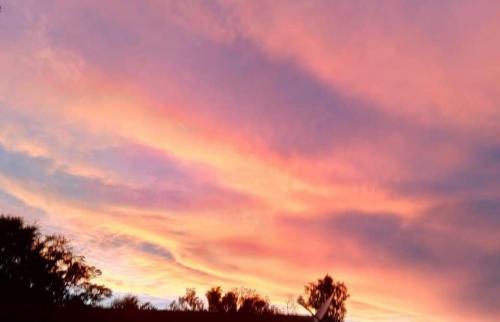 FB_IMG_1599226633231