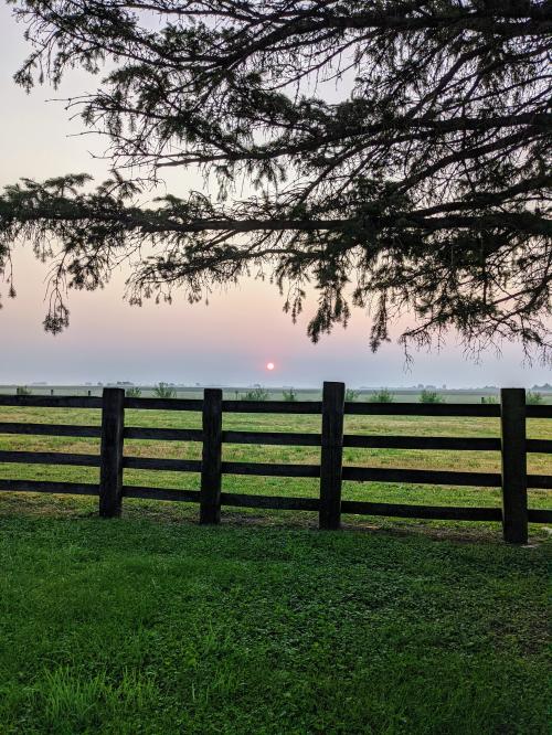 inbound1395276015035784276