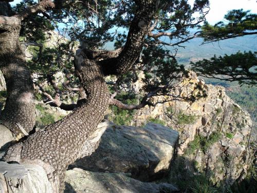 614389_4262627491512_2026022550_o