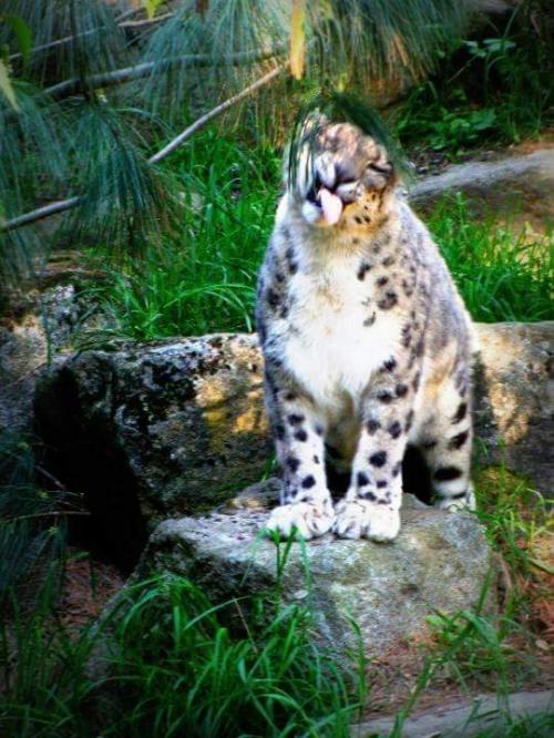 FB_IMG_1600290946869