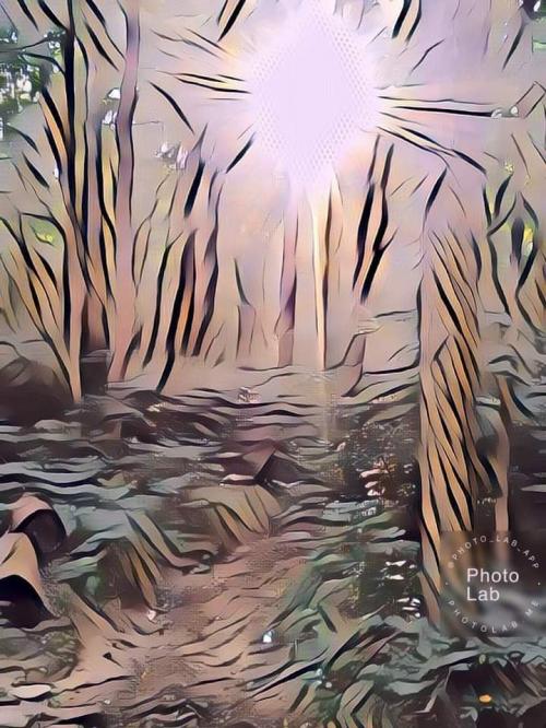 FB_IMG_1599483798779