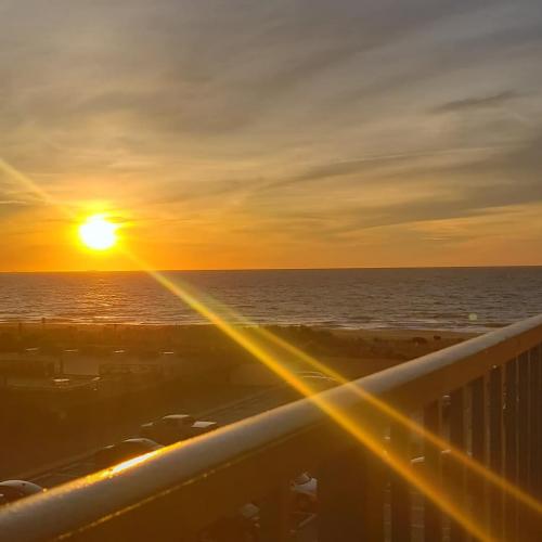 IMG_20190612_123353_117