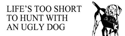 Life's Too Short