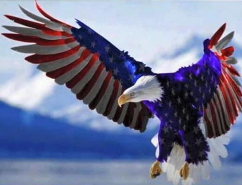 FB_IMG_1447708817386