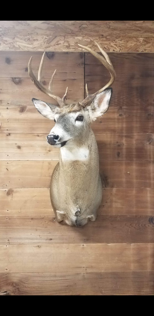 inbound5700984688019405406