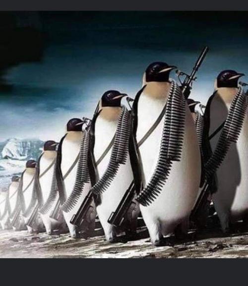 FB_IMG_1601031310251