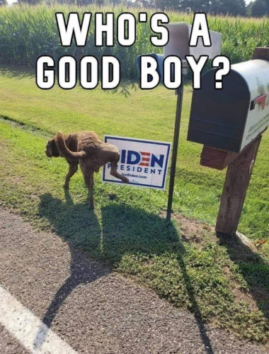 Biden_Sign