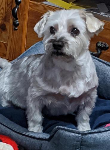 IMG_20200822_194337~2