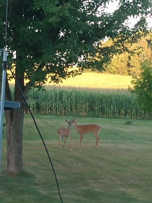 IMG_20200810_194724129