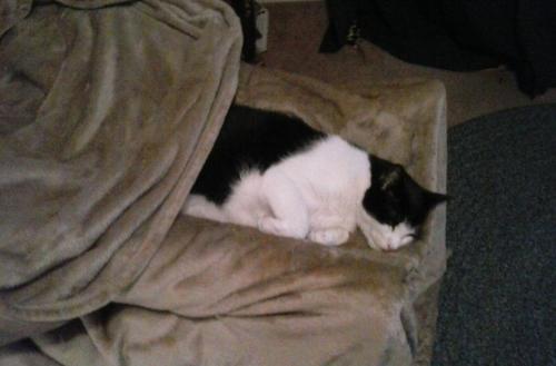 12710725_1696794960602106_2042158778837925622_o