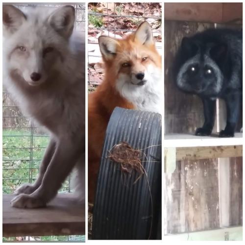 received_2765351086899548