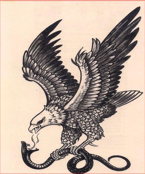 Black-and-white_eagle_killing_a_snake_tattoo_design