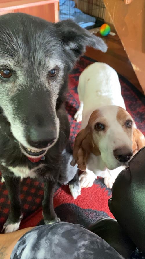 DD5DF5F3-15F0-401B-9011-916BAE0487CE